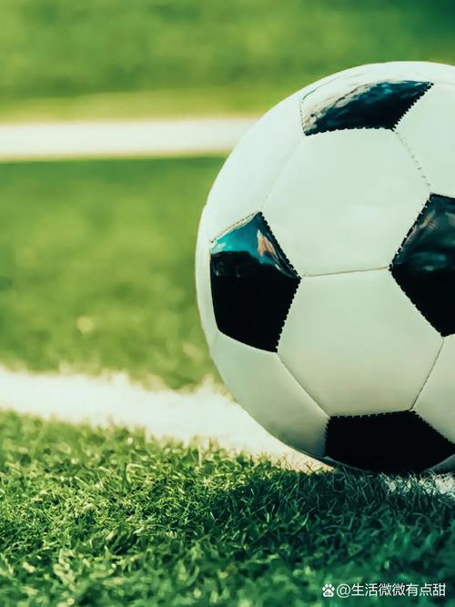 数据分析师使用专业工具进行篮球数据分析